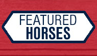 Featured Horses